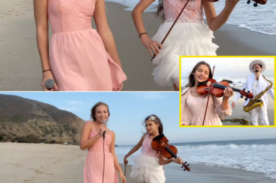 Karolina Protsenko’s Stunning Beachside Violin Performance of ‘Love Me Like You Do’ Will Leave You Speechless!