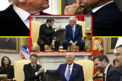 The Surprising Details You Won’t Expect! Trump and Macron’s ‘Friendly’ DC Meeting.tuyet