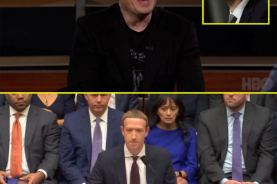 Elon Musk Shocking Response: Facebook Throws in the Towel on Fact-Checking in the U.S., Follows X Operator’s “Freedom First” Playbook