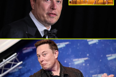 “Is Elon Musk Really Trying to End The View? His Bold Campaign is Taking the Internet by Storm!”