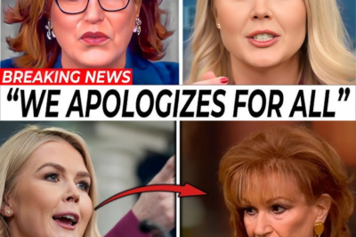 “The View” hosts apologize to Karoline Leavitt for controversial remarks.