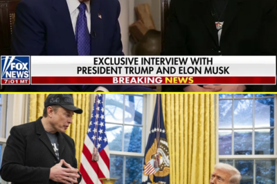 “Trump & Elon Musk Drop Bombshell Responses to ‘Constitutional Crisis’ Claims—Left in Panic as They Expose the Truth in Explosive ‘Hannity’ Exclusive!”