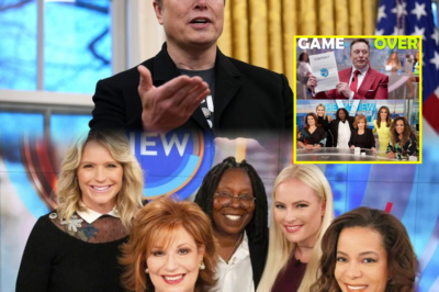 Elon Musk has d The View, the world’s most depraved TV show.