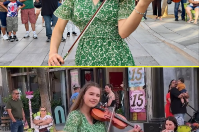 The world stops as Karolina Protsenko breathes new life into Dust in the Wind with a violin performance that will bring you to tears