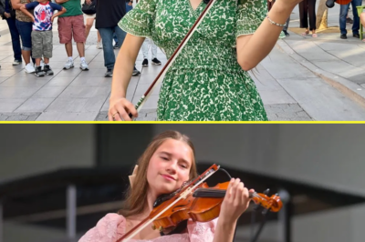 The world stops as Karolina Protsenko breathes new life into Dust in the Wind with a violin performance that will bring you to tears