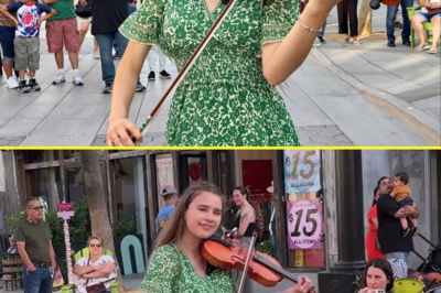 Jaw-Dropping Violin Cover: Karolina Protsenko’s Emotional Take on ‘Dust in the Wind’ Will Leave You in Tears!