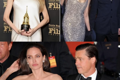 Angelina Jolie may have no love lost for her third husband Brad Pitt