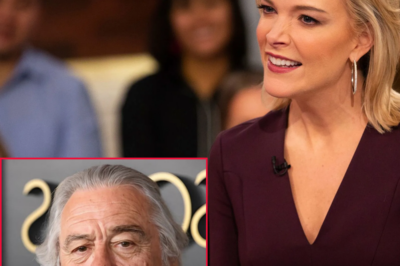 H0T NEWS: Megyn Kelly Calls Robert De Niro “Idiot” On The View