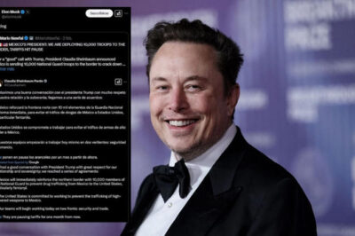 Unbelievable: Elon Musk’s reaction after tariffs in Mexico are suspended