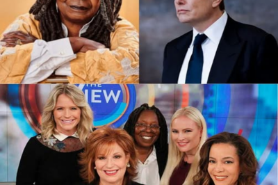 Elon Musk Declares War on The View with Public Campaign to End the Show—Is This the End of an Era?”