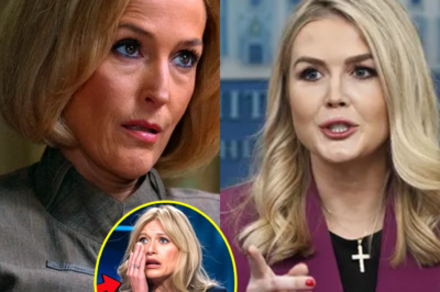 Liberal TV Show Host Openly PLEADS With Karoline Leavitt To STOP $800 MILLION Law Suit for Good!