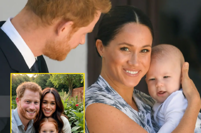 Meghan Markle and Prince Harry were recently seen sharing a